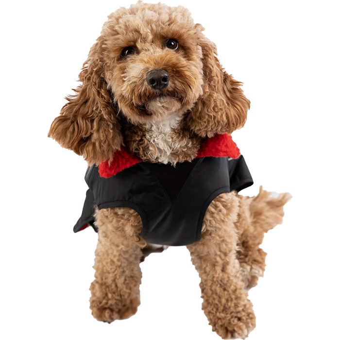 2025-dryrobe-dog-coat-v3-drv3-black-red-accessories-dog